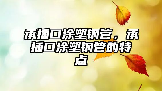 承插口涂塑鋼管，承插口涂塑鋼管的特點(diǎn)