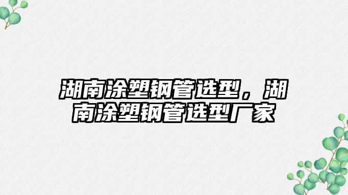 湖南涂塑鋼管選型，湖南涂塑鋼管選型廠家